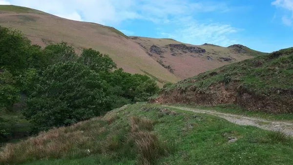 Black Combe